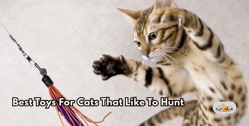 best toys for cats that like to hunt