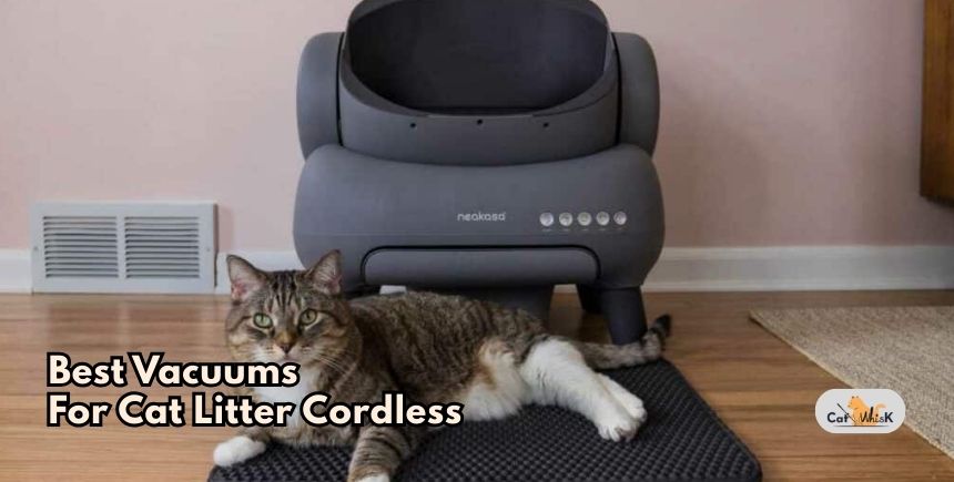 best vacuums for cat litter cordless