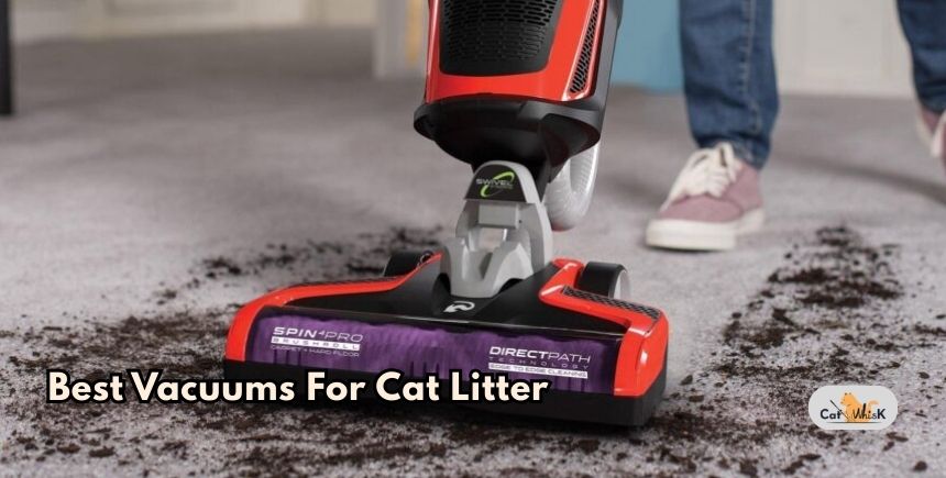 best vacuums for cat litter