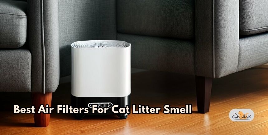 best air filters for cat litter smell