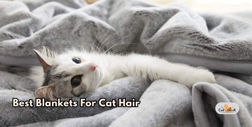 best blankets for cat hair