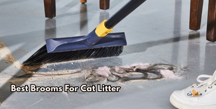 best brooms for cat litter