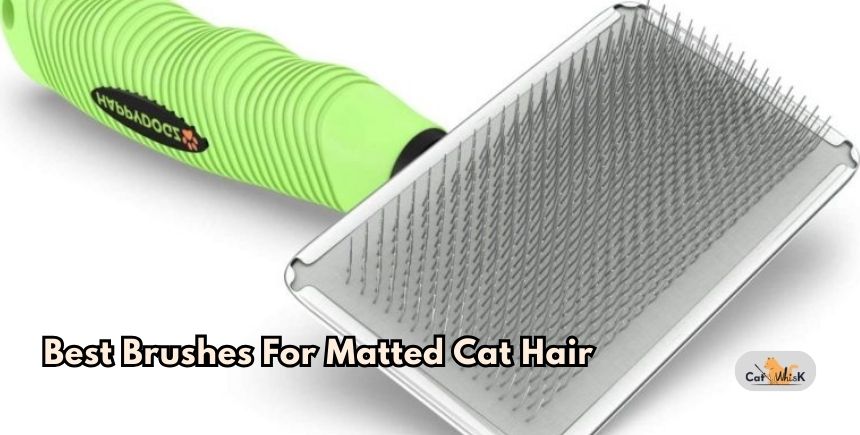 best brushes for matted cat hair