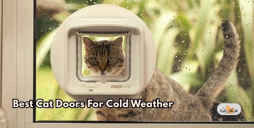 best cat doors for cold weather