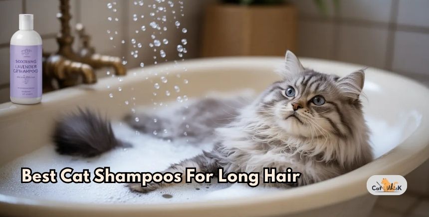 best cat shampoos for long hair