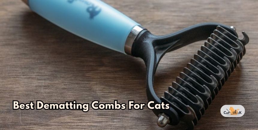 best dematting combs for cats