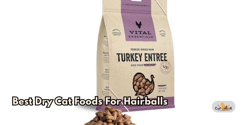 best dry cat foods for hairballs