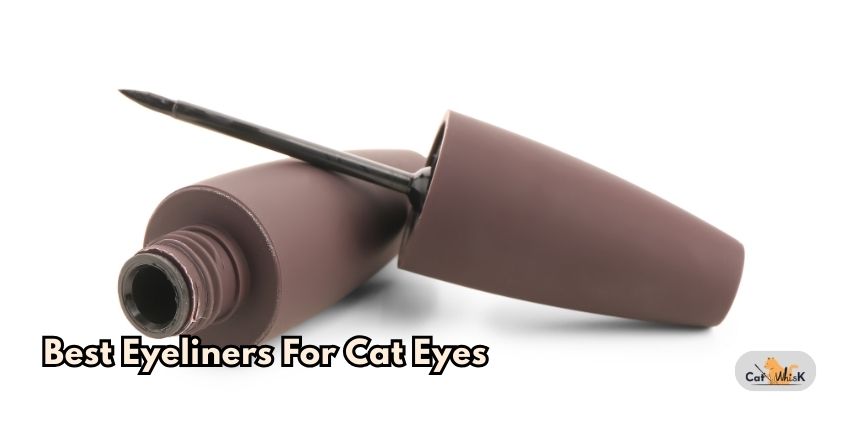 best eyeliners for cat eyes