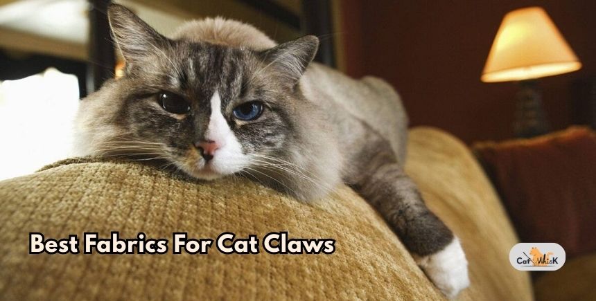 best fabrics for cat claws