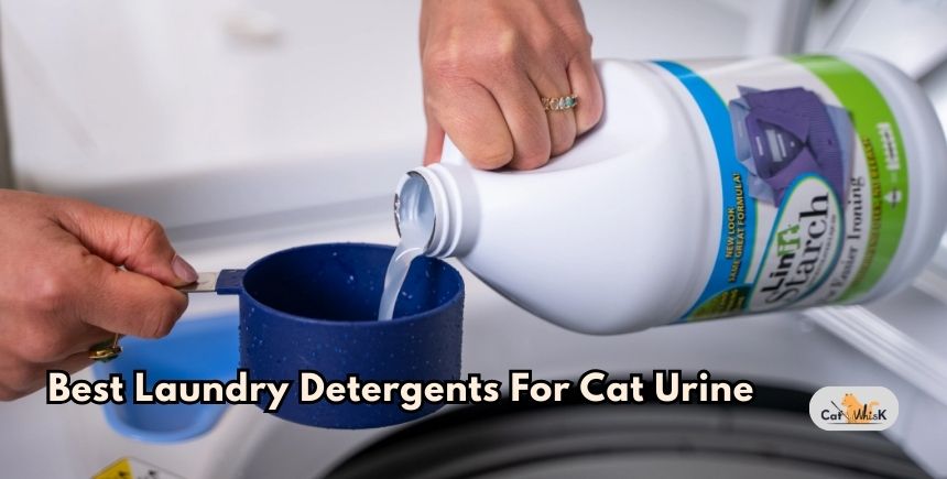 best laundry detergents for cat urine