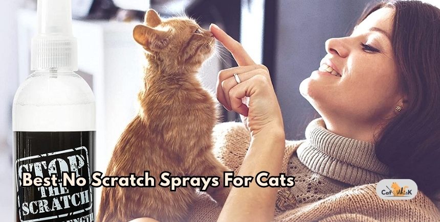 best no scratch sprays for cats