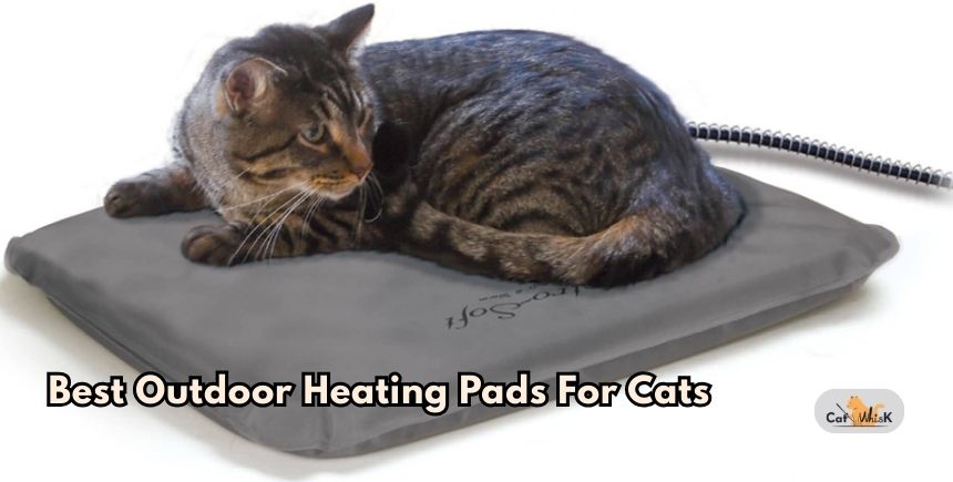 best outdoor heating pads for cats