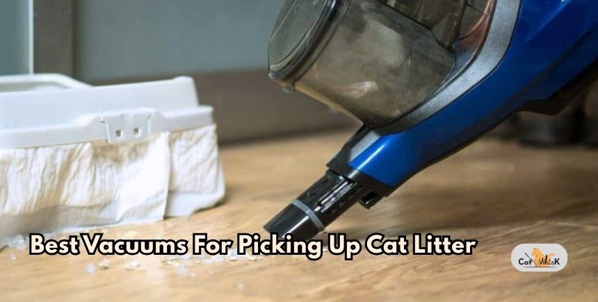 best vacuums for picking up cat litter