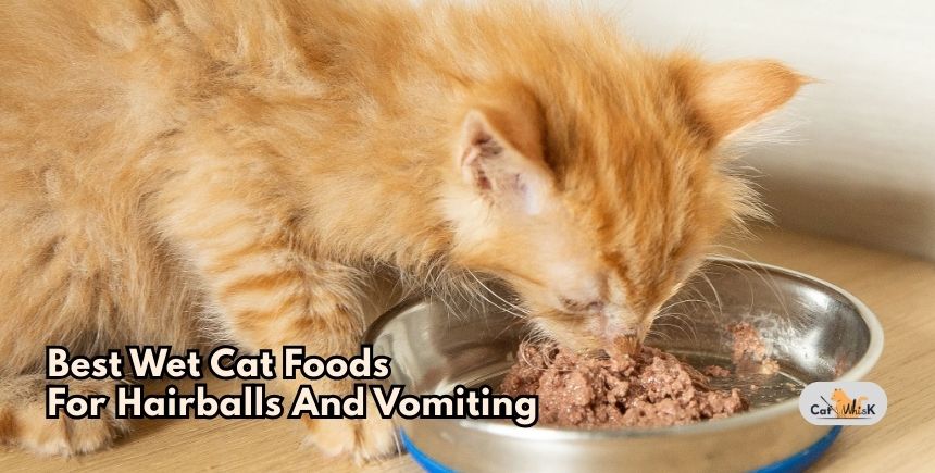best wet cat foods for hairballs and vomiting