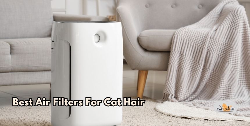 best air filters for cat hair