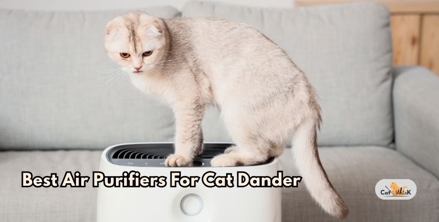 best air purifiers for cat dander