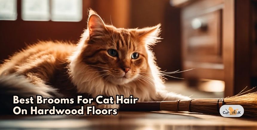 best brooms for cat hair on hardwood floors
