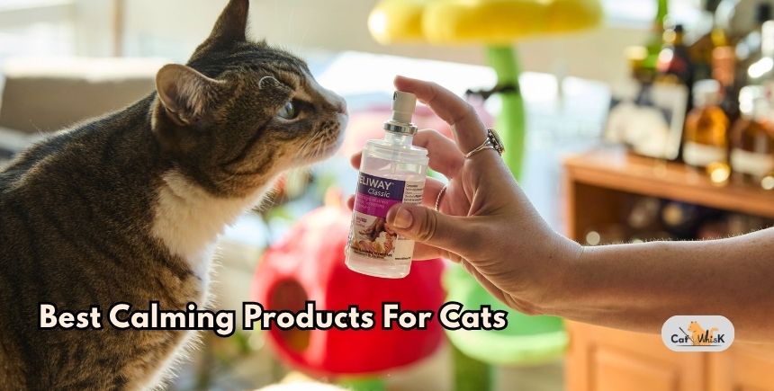 best calming products for cats