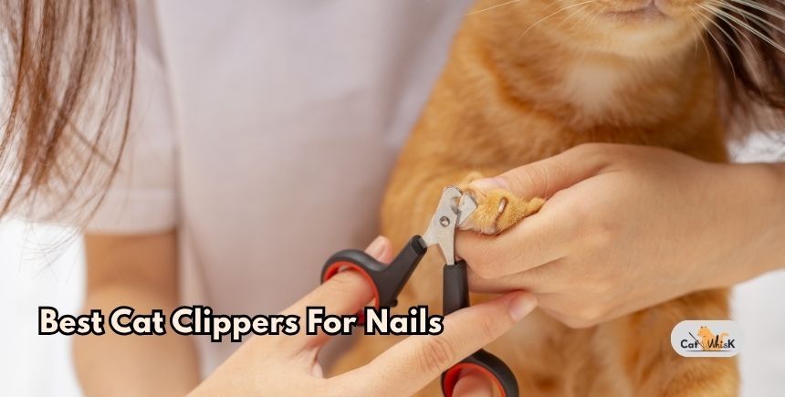 best cat clippers for nails