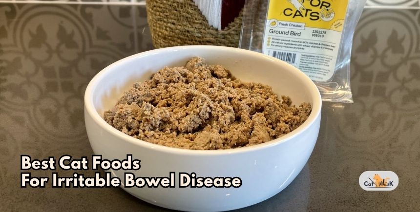 best cat foods for irritable bowel disease