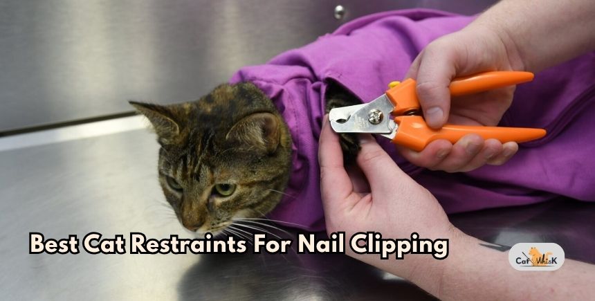 best cat restraints for nail clipping