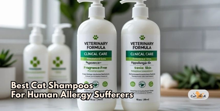 best cat shampoos for human allergy sufferers