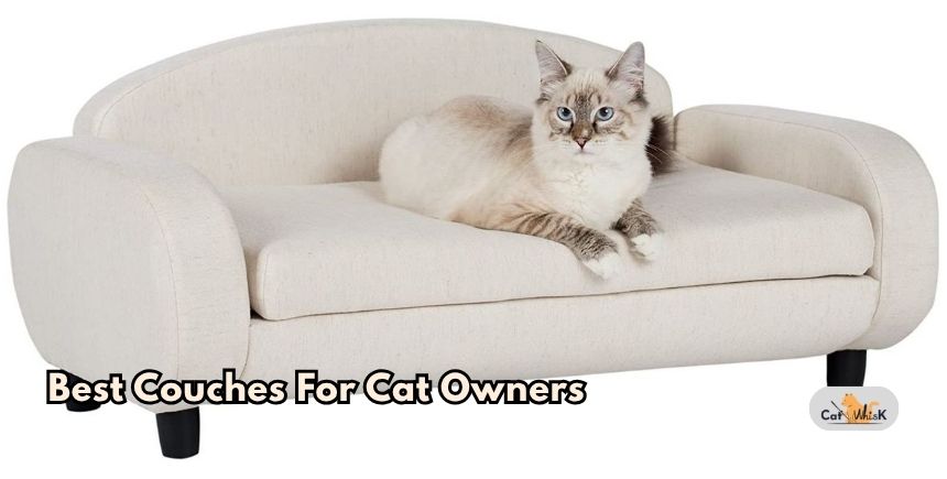 best couches for cat owners
