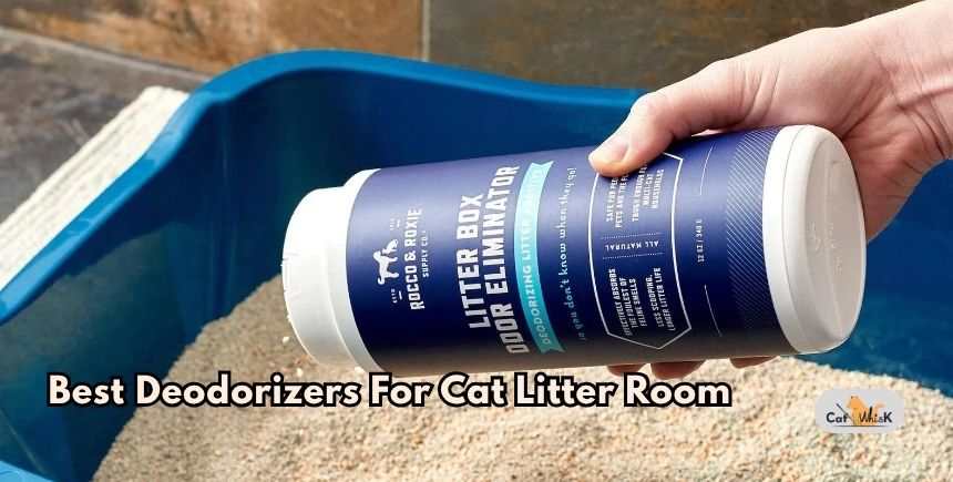 best deodorizers for cat litter room
