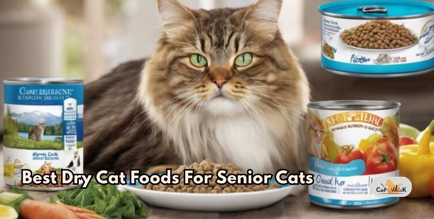 best dry cat foods for senior cats