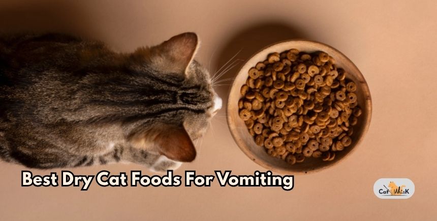 best dry cat foods for vomiting