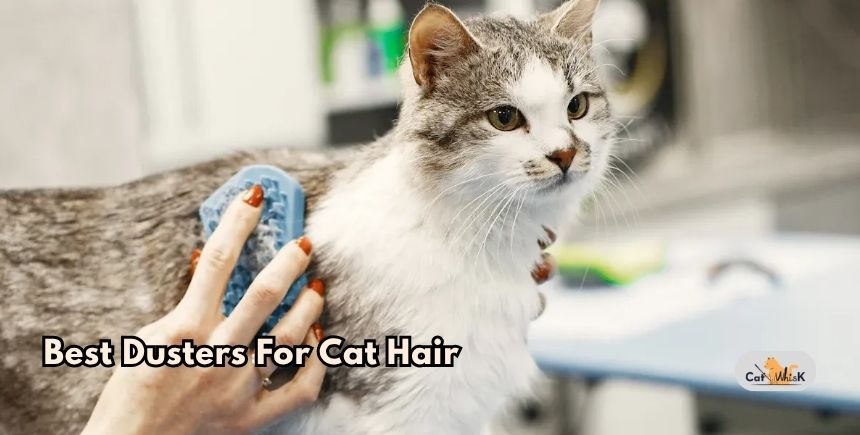 best dusters for cat hair