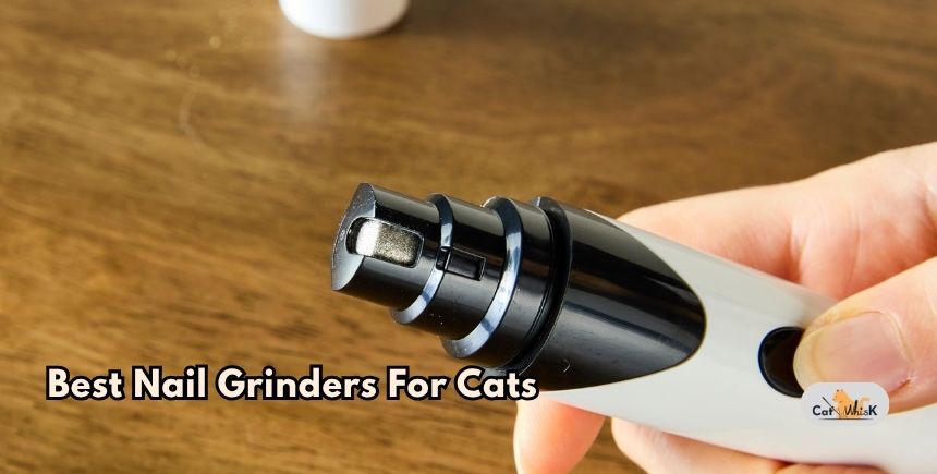 best nail grinders for cats
