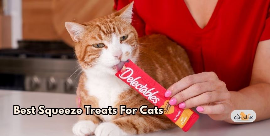 best squeeze treats for cats