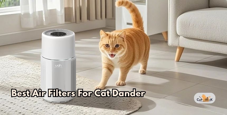 best air filters for cat dander