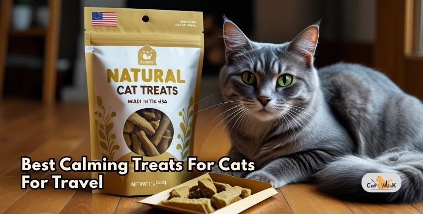 best calming treats for cats for travel