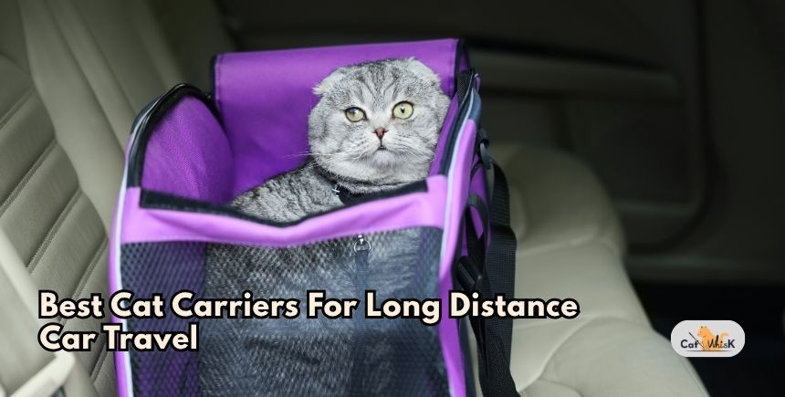 best cat carriers for long distance car travel
