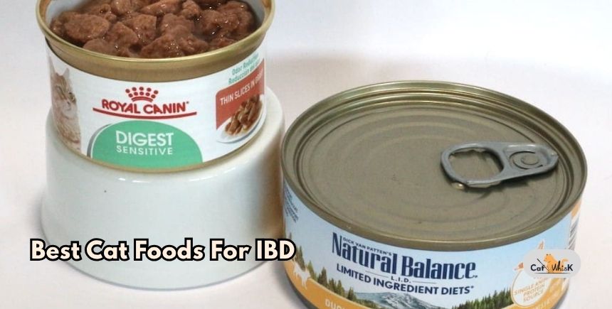 best cat foods for ibd