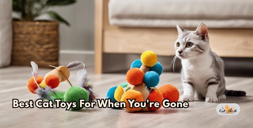 best cat toys for when you're gone
