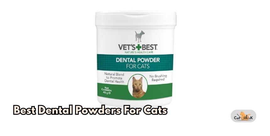 best dental powders for cats