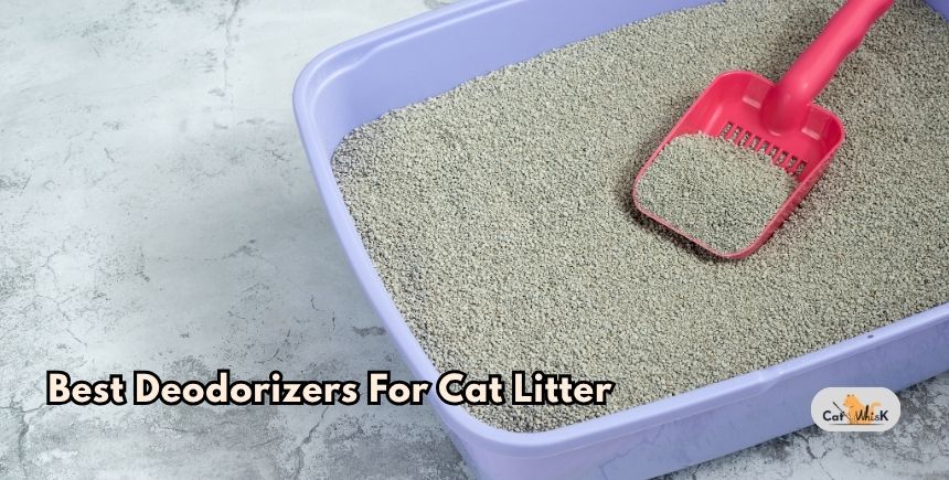 best deodorizers for cat litter