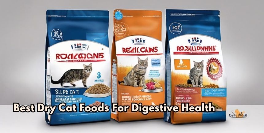 best dry cat foods for digestive health