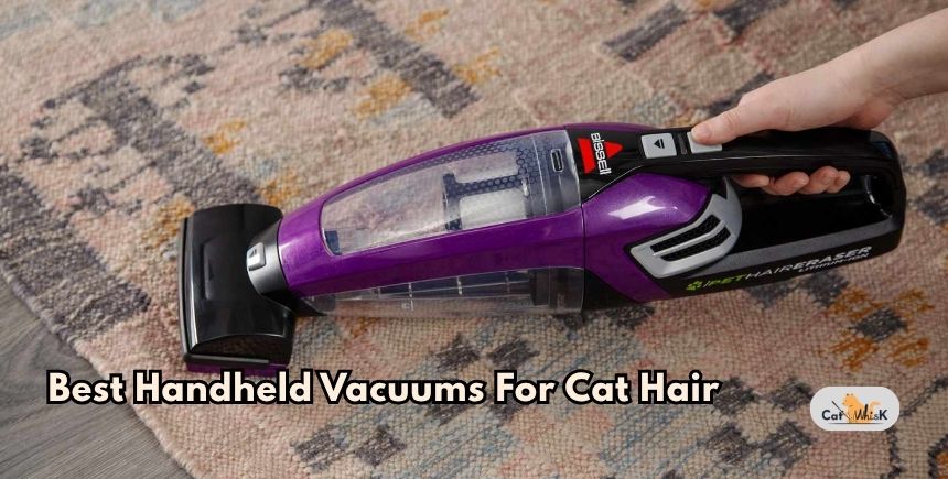 best handheld vacuums for cat hair