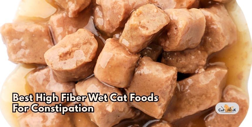 best high fiber wet cat foods for constipation