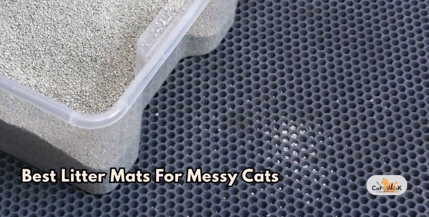 best litter mats for messy cats