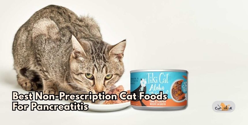best non-prescription cat foods for pancreatitis