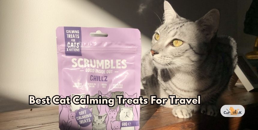 best cat calming treats for travel