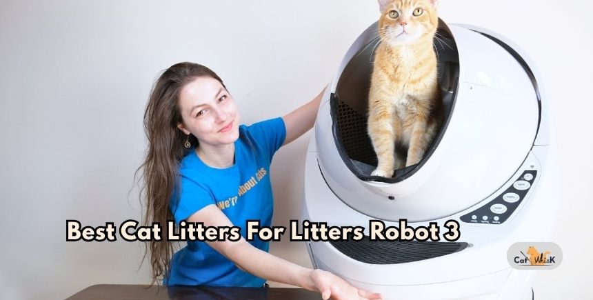 best cat litters for litters robot 3