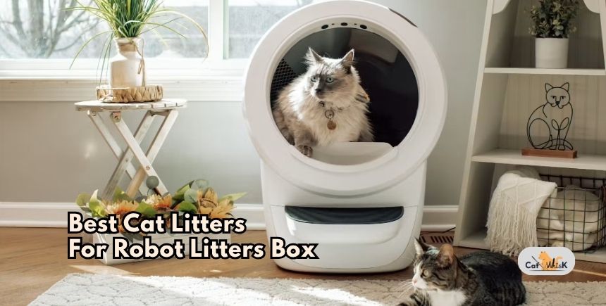 best cat litters for robot litters box