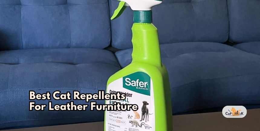 best cat repellents for leather furniture