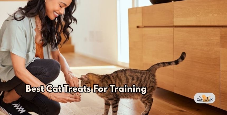 best cat treats for training